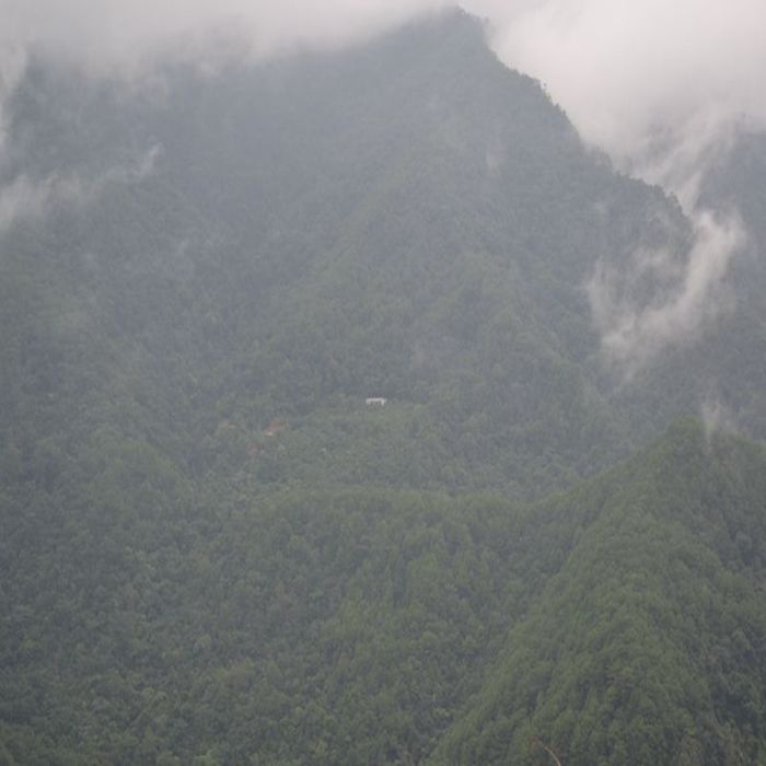 云南哀牢山和平乡养殖基地