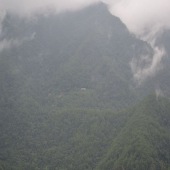 云南哀牢山和平乡养殖基地